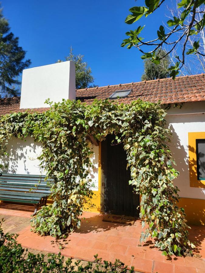 מלון Fajarda Quinta Da Mimosa מראה חיצוני תמונה